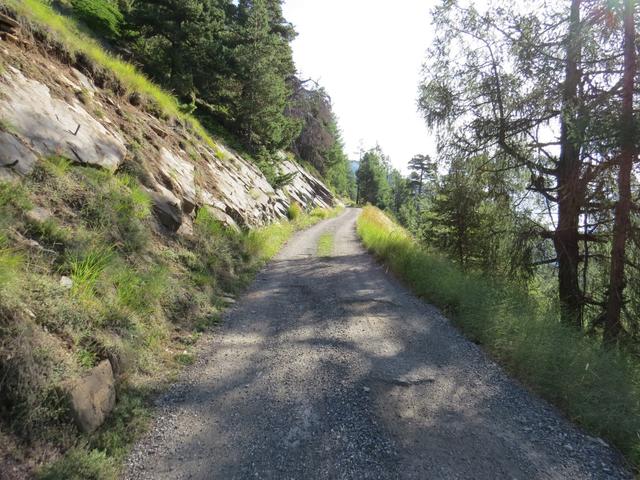 wir wandern alles weiter auf dem Strässchen bleibend, aufwärts Richtung Schlaufe bei Punkt 1634 m.ü.M.