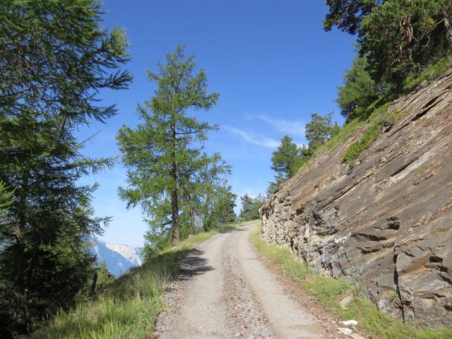 alles der Fortstrasse entlang, geht weiter aufwärts, nun Richtung Strassenkreuzung bei Punkt 1753 m.ü.M.