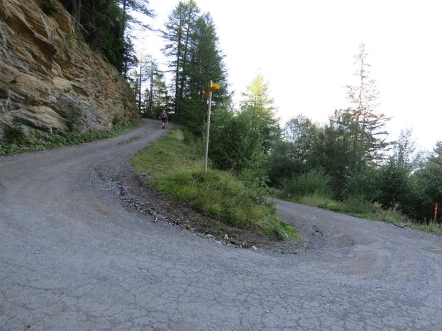 bei Punkt 1753 m.ü.M. bleiben wir auf der Forsttrasse, biegen rechts ab, und laufen weiter aufwärts