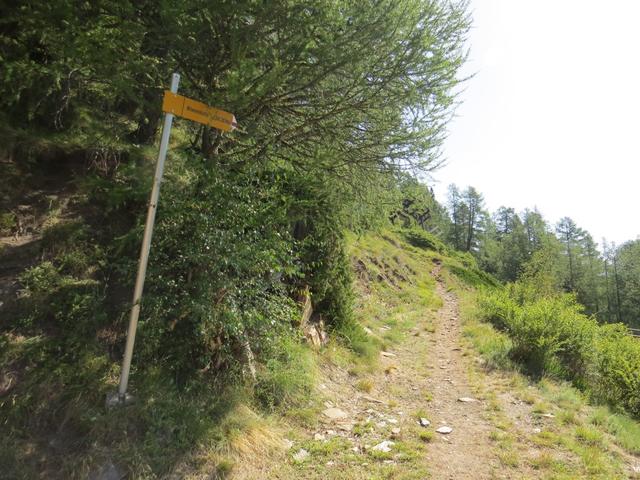 bei Punkt 1851 m.ü.M. erreichen wir Fuxtritt und zugleich das Ende der Forststrasse