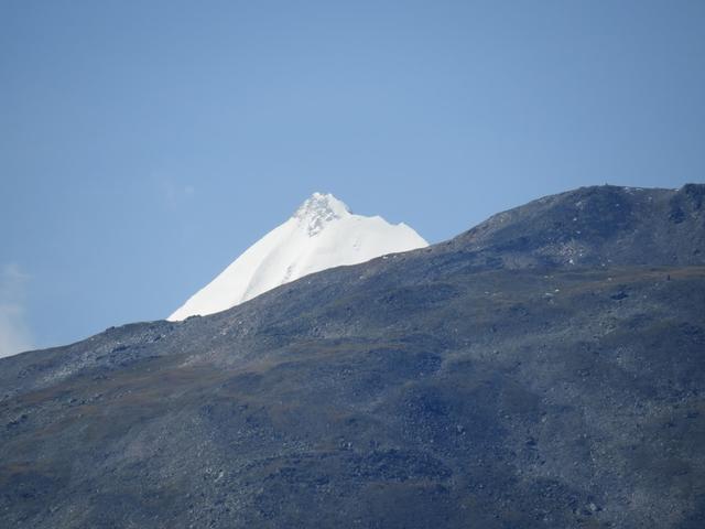 hinter dem Augstbordhorn zeigt sich frech das Weisshorn