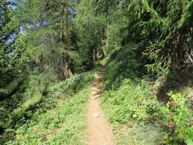 hier knickt der Wanderweg nach links um und steuert den breiten, gegen das Baltschiedertal steil abfallenden Rücken an...