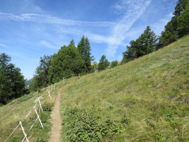 bei der Weggabelung Punkt 2065 m.ü.M. biegen wir rechts ab...