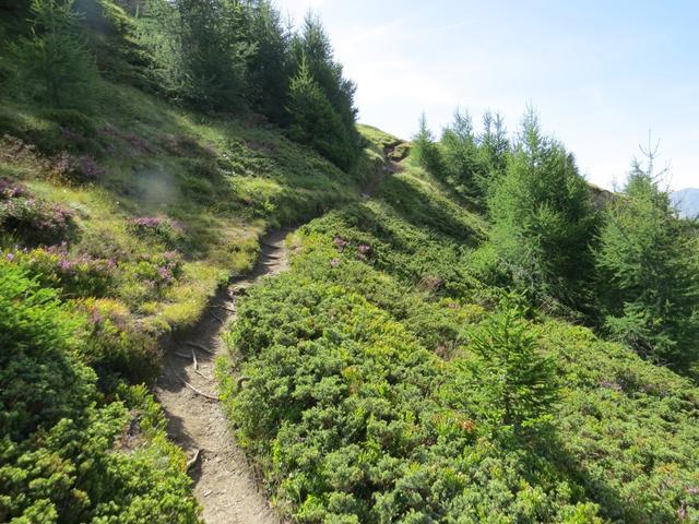 ...erreichen wir Grüese. Bei Grüese erreichen wir die Waldgrenze und zugleich empfängt uns eine grossartige Aussicht