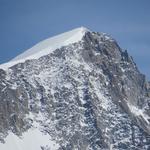 Blick hinauf zum Gipfel des Nesthorn. Während dem Besuch der Oberaletschhütte, bestaunten wir diesen Berg von der anderen Seit