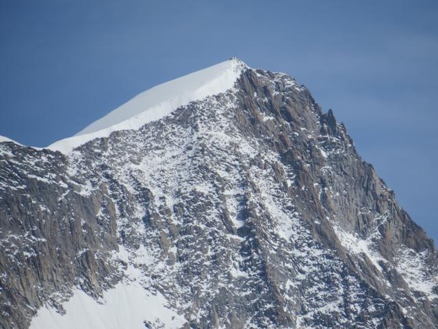 Blick hinauf zum Gipfel des Nesthorn. Während dem Besuch der Oberaletschhütte, bestaunten wir diesen Berg von der anderen Seit