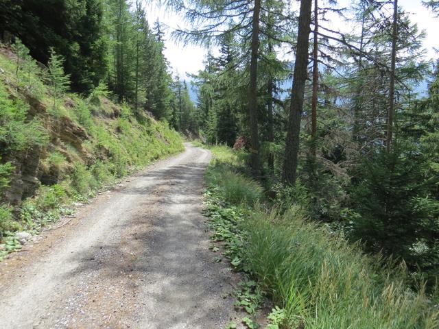 über die Teerstrasse erreichen wir die starke Kehre bei Punkt 1753 m.ü.M. wo schon nach ein paar Meter...