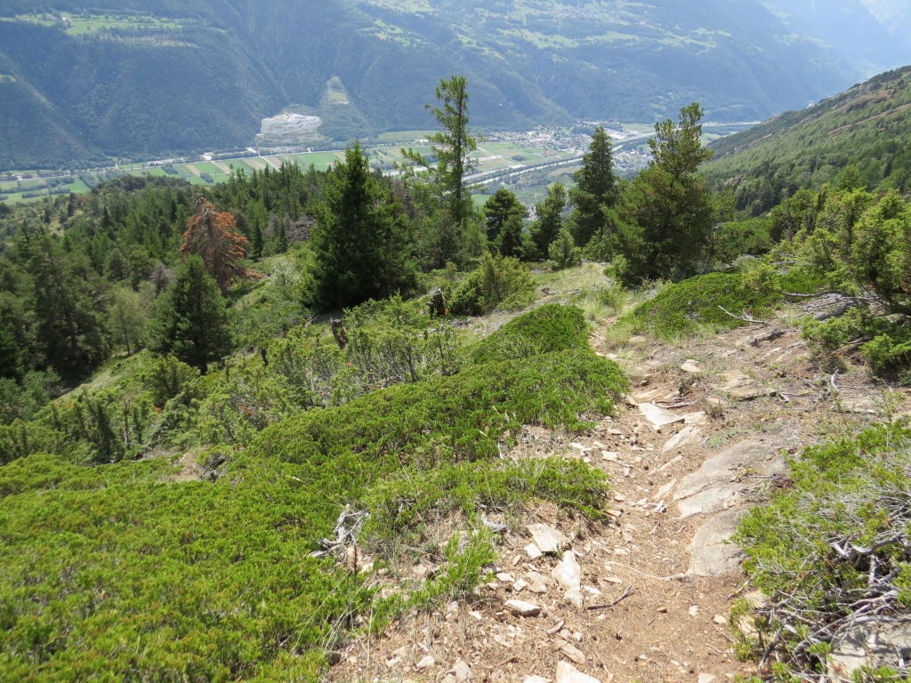 ...bietet dafür das Gefühl von "Walliser Wildnis", steil, heiss und trocken...