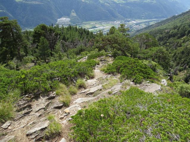 ...dazu der Geruch von Kräuter, Harz und Blumen