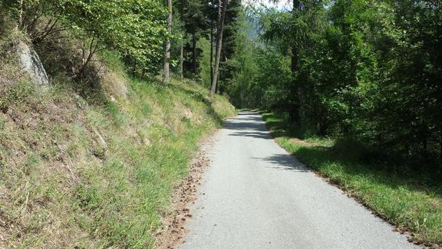 alles der Asphaltstrasse entlang, laufen wir nun hinunter nach Niwärch