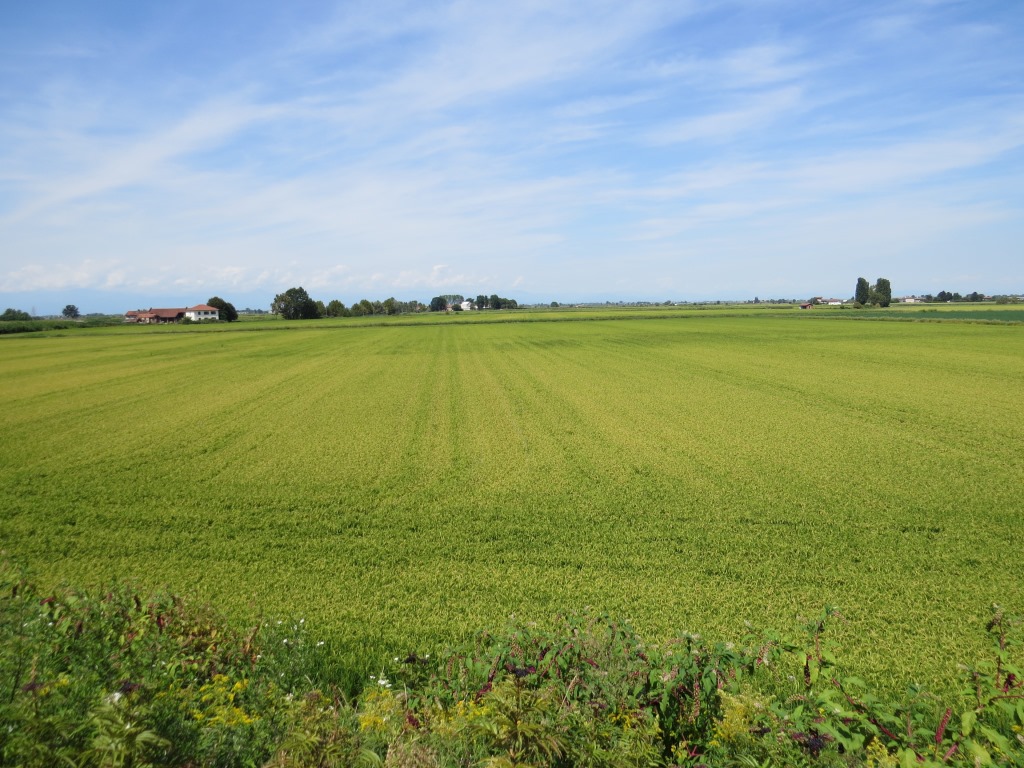 wir lassen die Region Piemont hinter uns, und erreichen die Region Lombardei