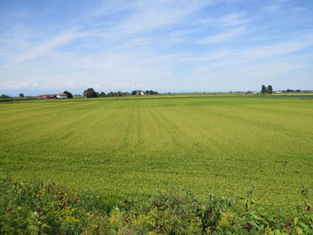 wir lassen die Region Piemont hinter uns, und erreichen die Region Lombardei