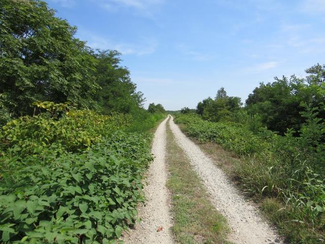 auch an diesem Tag, wurde die Wegführung der Via Francigena gut erstellt. Keine Autos weit und breit