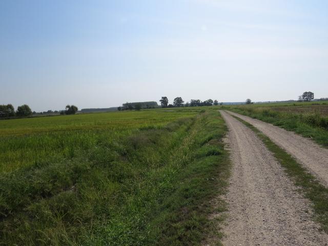 auf dem Weg nach Nicorvo