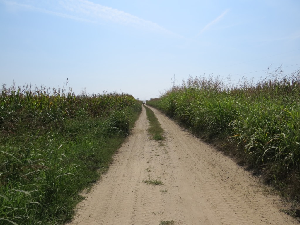 auf dem Weg nach Mortara