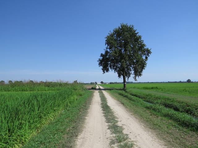 kurz nach Remondo erreichen wir ein Kanal wo kein Unterholz den Zugang erschwert