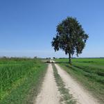 kurz nach Remondo erreichen wir ein Kanal wo kein Unterholz den Zugang erschwert