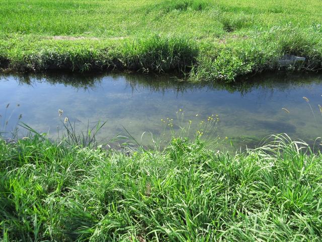 das Wasser ist klar und der Kanal ist sauber. Das schwimmen im Kanal wird unvergesslich bleiben