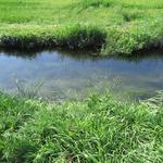 das Wasser ist klar und der Kanal ist sauber. Das schwimmen im Kanal wird unvergesslich bleiben