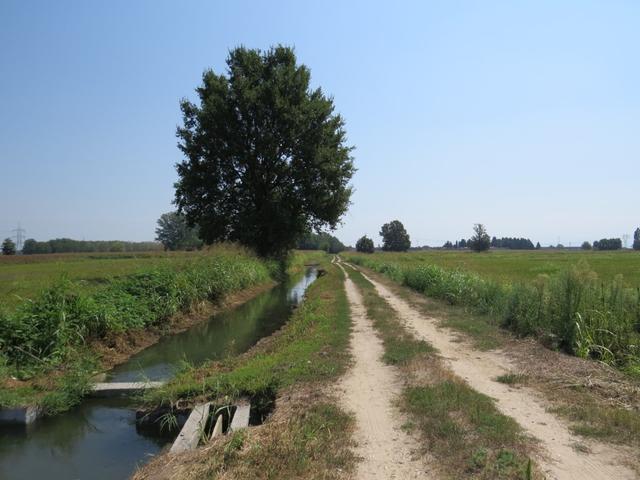 es ist unheimlich war, 36 Grad und praktisch kein Baum weit und breit