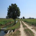 es ist unheimlich war, 36 Grad und praktisch kein Baum weit und breit