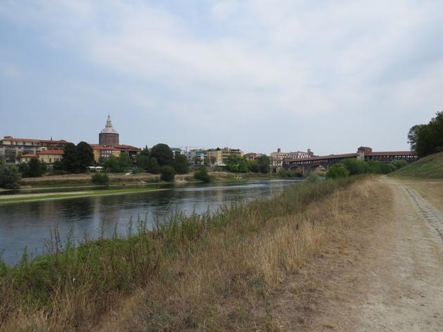 ...und plötzlich tauchen die ersten Häuser von Pavia auf
