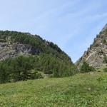 der Wanderweg führt bei Bodmen über Weideland