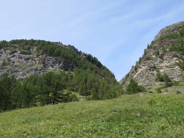 der Wanderweg führt bei Bodmen über Weideland