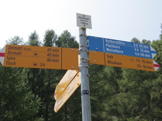 Wegweiser auf Alterhaupt 1961 m.ü.M. Bevor wir weiter zum Hotel du Trift aufsteigen, bestaunen wir die Aussicht