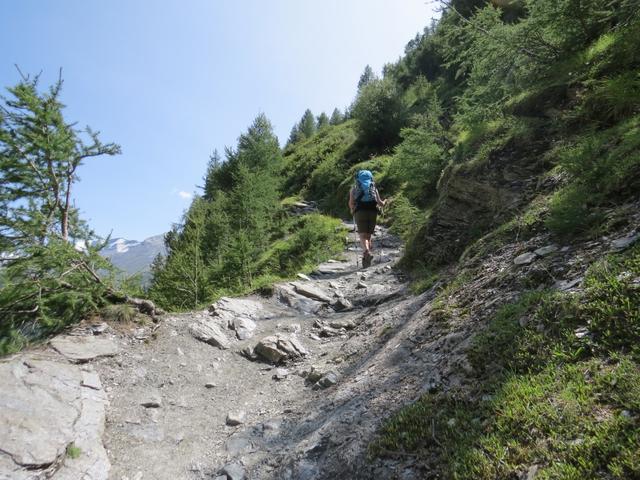 der Wanderweg ist immer gut ersichtlich, breit und gut markiert