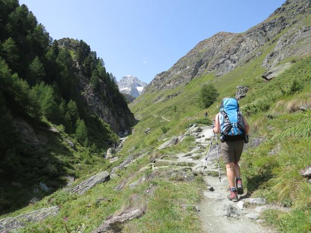 auf der nun orographisch linken Seite des Triftbaches, vorbei am Stellistein, gewinnen wir über ein paar Kehren weiter an Höhe