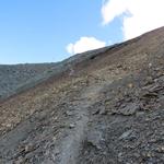 über einen recht steilen Schutthang führt uns der Bergweg, rechts von Punkt 3149 m.ü.M...