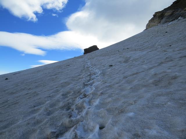 der Gletscher ist ziemlich eben, zieht aber links rasch in die Tiefe. Steigeisen geben hier die nötige Sicherheit