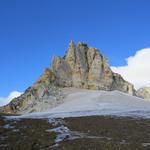 was für eine traumhafte Aussicht! Schnee, Eis und hellbrauner Felsen vom Platthorn