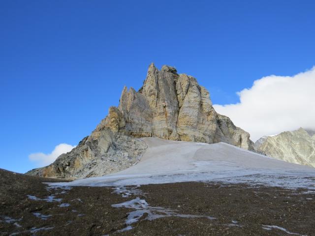 was für eine traumhafte Aussicht! Schnee, Eis und hellbrauner Felsen vom Platthorn