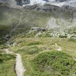 wir erreichen die Weggabelung bei Vieliboden 2452 m.ü.M.