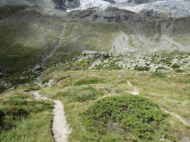 wir erreichen die Weggabelung bei Vieliboden 2452 m.ü.M.