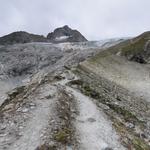 ...Seitenmoräne des Triftgletscher bringt