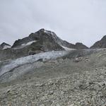 wir wandern nun in einer alpinen Umgebung. Links von uns der Triftgletscher mit Wellenkuppe