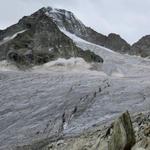 schönes Breitbildfoto mit Blick zu den Gabelhörner, Wellenkuppe und Triftgletscher