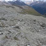 über das Schuttgelände unterhalb der Hütte, geht es auf dem gleichen Weg wie wir gekommen sind, nun hinunter