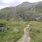 wir erreichen die Weggabelung auf Vieliboden 2452 m.ü.M.