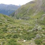 Blick von Vieliboden zum Berggasthaus Hotel du Trift