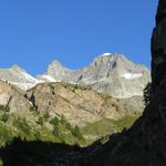 Blick zurück zum Mittler Gabelhorn, Ober Gabelhorn und Wellenkuppe
