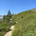 uns fällt sofort der auf einer Felsrippe thronende Steinadler auf. Zu dem am Schluss der Wanderung mehr