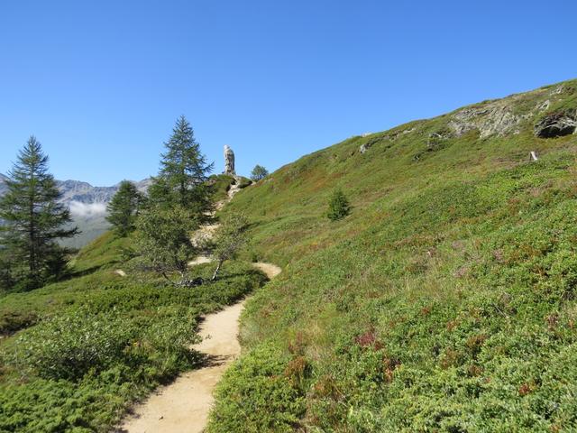 uns fällt sofort der auf einer Felsrippe thronende Steinadler auf. Zu dem am Schluss der Wanderung mehr