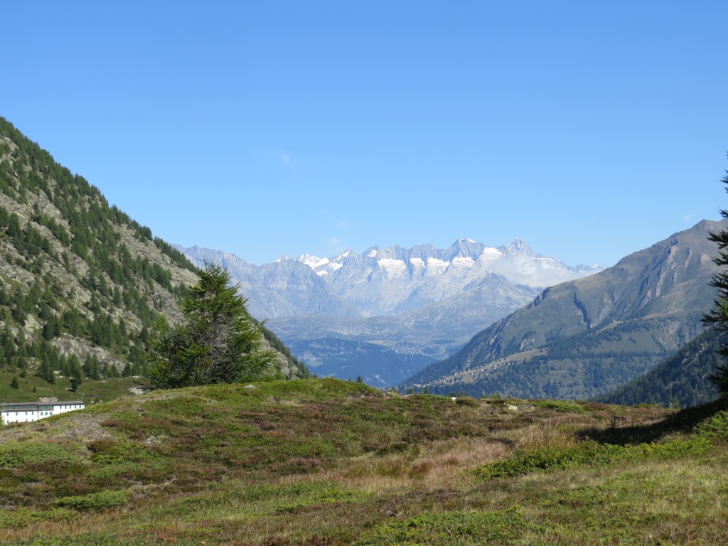 Blick über das Rhonetal ins Aletschgebiet mit dem Aletschhorn
