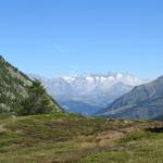 Blick über das Rhonetal ins Aletschgebiet mit dem Aletschhorn