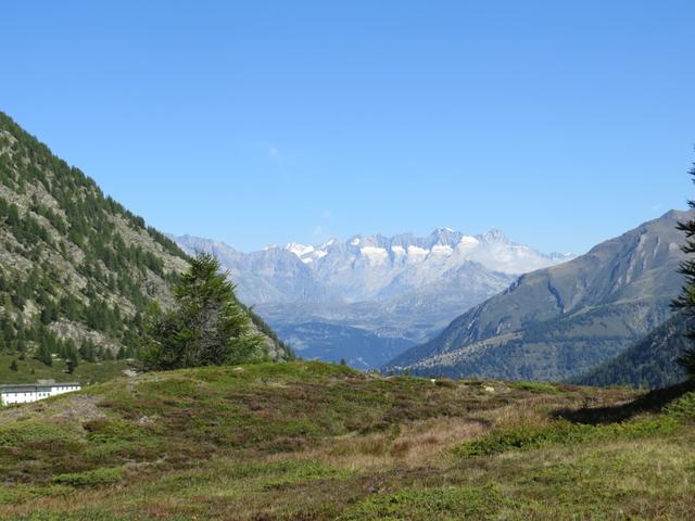 Blick über das Rhonetal ins Aletschgebiet mit dem Aletschhorn