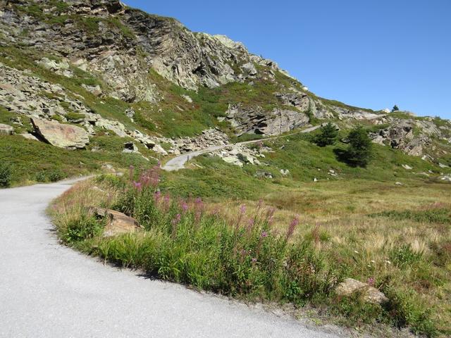 die Wegweiser sind spärlich vorhanden und bei den meisten ist der Hinweis auf das Spitzhorli nicht vorhanden